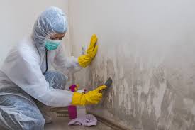 Best Real Estate Mold Inspection  in Russell, GA